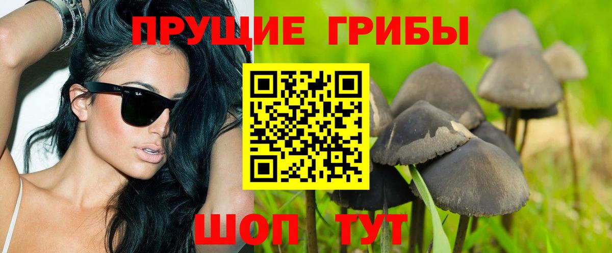 Псилоцибиновые грибы Magic Shrooms Янаул