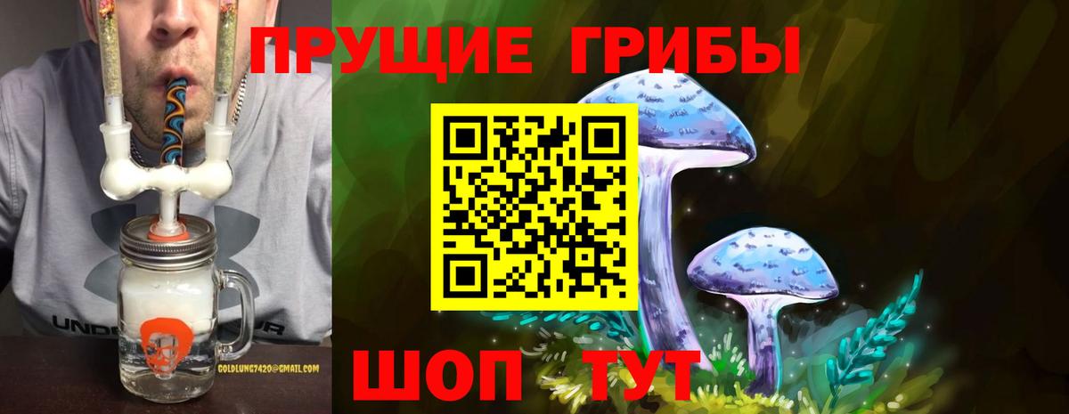 Янаул  закладки  Вход с VPN  Псилоцибиновые грибы прущие грибы 